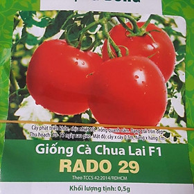 Mua Combo 3 Gói Hạt Giống Rau Muống Lá Tre  Rau Tần Ô và Cà Chua Chịu Nhiệt Rạng Đông
