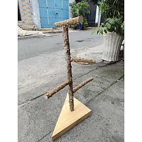 1 cầu đứng gỗ gạo siêu cứng cáp (CDGG01) đề cho chim, vẹt đứng (đế ngẫu nhiên) cao 55-58cm