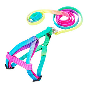 Colorful Rainbow Pet Dog Collar Harness Leash Soft Walking Harness Lead Adjustable Durable Nylon Traction Rope