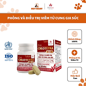 [5G] Five Chlotetra Bolus - Phòng và hỗ trợ trị VIÊM TỬ CUNG GIA SÚC