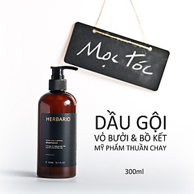 Dầu gội vỏ bưởi & Bồ kết 300ml sạch da đầu gàu, kích thích mọc tóc