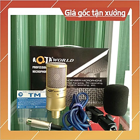 Mua Mic Thu Âm livestream AQ220