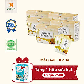 Combo 5 hộp - Trà dưỡng nhan đông trùng hạ thảo Quê Việt + tặng 1 hộp sữa hạt dinh dưỡng 259k - Hộp 150g (10 túi x 15g)