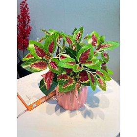 Chậu cây giả để bàn làm việc, bình hoa để bàn trang trí - Cây giả, hoa lụa trang trí nhà cửa