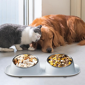 Bowl Raised Cat Dog Bowl for Small Medium Dogs Indoor Cats Kitten