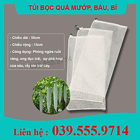 Mua 50 TÚI BỌC TRÁI CÂY  BẦU BÍ MƯỚP ... ( Kích thước 50x15cm) giúp bảo vệ quả ảnh hưởng mưa gió và côn trùng