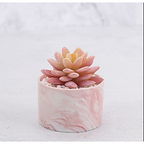 Chậu cây hoa giả hình trụ đá cẩm thạch hoa sen đá Rubi 8x10cm