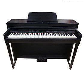 Đàn piano điện kurtzman k710