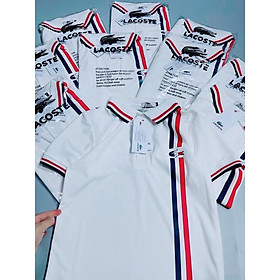 MS489 Áo polo nữ 2 sọc trẻ trung