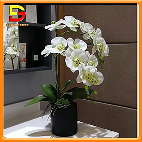 Mua Hoa Giả  Chậu Hoa Lan Hồ Điệp Cao Su Y Hình Tuyệt Đẹp Trang Trí Bàn Trà  Kệ Tủ DG-18