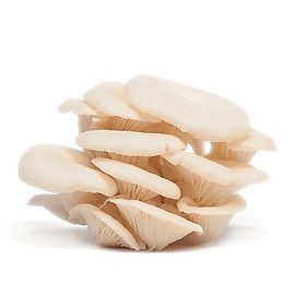 Big C - Nấm bào ngư trắng Vietgap 500g - 00080