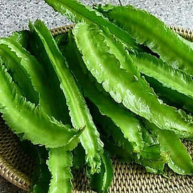 Mua Hạt giống đậu rồng - đậu khế giống khỏe quả sai VTP43