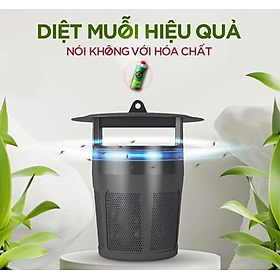 Đèn bắt muỗi, ruồi và các loại côn trùng