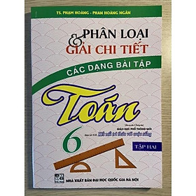 Sách - Phân loại và giải chi tiết các dạng bài tập Toán 6 tập 2