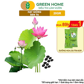 Mua Hạt Giống Hoa Sen Ta GreenHome  Gói 20 Gram  Dễ Trồng  Nảy Mầm Tốt  Bông To  Lá Dày H10