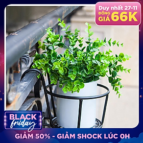 Combo 3 Giỏ Treo Chậu Hoa Ban Công Bằng Sắt