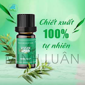 Tinh dầu khuynh diệp Vivian 10 ml