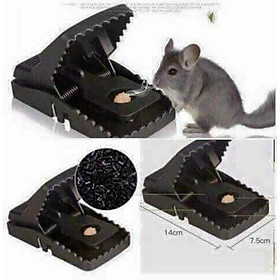 Mua Bẫy chuột đen thông minh