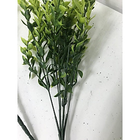 Mua cành lá ngâu trang trí  chùm dài 20-25cm dùng để cắm lọ  cắm chậu cây trang trí siêu đẹp