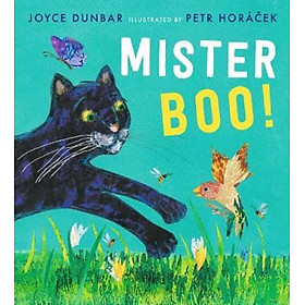 Sách - Mister Boo! by Joyce Dunbar Petr Horacek (UK edition, hardcover)