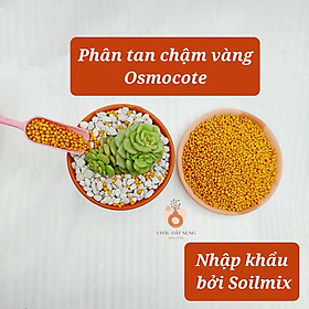 Mua Phân tan chậm VÀNG nhập khẩu CAO CẤP OSMOCOTE - được ưu chuộng nhất cho sen đá