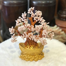 Mua Cây Tài Lộc Thạch Anh Hồng Trên Thỏi Vàng