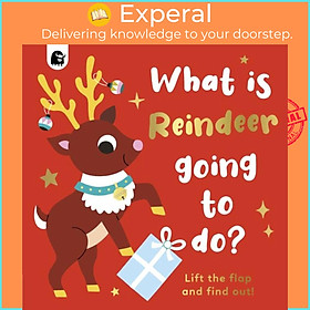 Hình ảnh Sách - What is Reindeer Going to do? by Caroline Dall'ava (UK edition, boardbook)