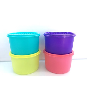Hộp bảo quản thực phẩm Tupperware Midi Deco (new)