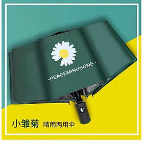 Mua Ô hoa cúc tự động 2 chiều siêu xịn
