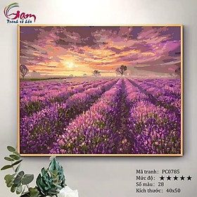 Tranh sơn dầu số hoá phong cảnh tự tô màu Đồng hoa oải hương Lavender PC0785