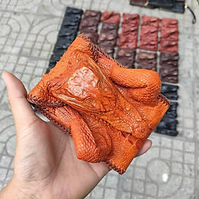 Ví Cá Sấu Nguyên Con Có Đầu Và Chân Tay!
