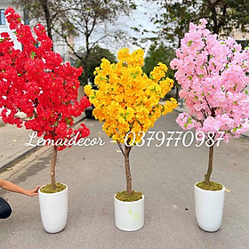 Cây Hoa Anh Đào giả trang trí decor Tết, hoa mai giả - Cây giả hoàn thiện