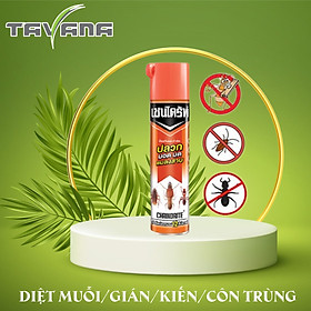 Bình xịt diệt Muỗi Gián Kiến Côn trùng - Chaindrite 600ml