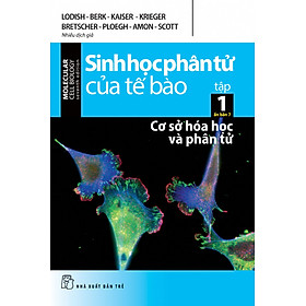 SINH HỌC PHÂN TỬ CỦA TẾ BÀO 01 - CƠ SỞ HÓA HỌC VÀ PHÂN TỬ (ẤN BẢN 7)-NXB Trẻ