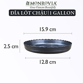 Hình ảnh Đĩa lót chậu nhựa trồng cây Monrovia chậu trồng cây, chậu cây cảnh mini, để bàn, treo ban công, treo tường, chính hãng