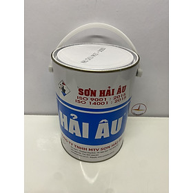 Mua Sơn chịu nhiệt 600 độ màu bạc SK6 Hải Âu 5L