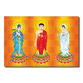 Tranh Phật Giáo Tam Thánh  HPV-45_35x50