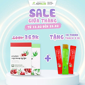 COMBO NGON KHỎE THẠCH NHA ĐAM SÂM HỘP 10 GÓI KDY ALOE