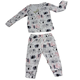 Bộ quần áo dài tay bé trai chất cotton size 1-5 (Giao mầu ngẫu nhiên)