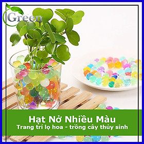 Gói Khoảng 1000 Viên Hạt Tinh Thể (Hạt Nở) Trồng Cây, Trang Trí Lọ Hoa