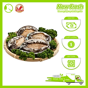 Bào Ngư Hàn Quốc Đông Lạnh - Túi 1Kg (16-20 con)