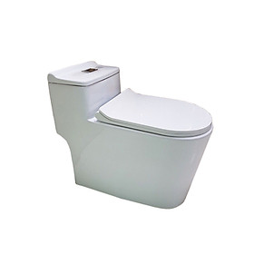 Mua Bồn cầu liền khối sứ cao cấp HNP00010