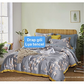 Bộ drap gối Lụa Tencel vải Hàn Quốc , đỉnh cao mát , mềm mại { drap và 3 áo gối