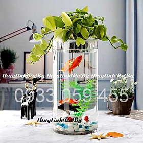 Mua Bình Bông Lọ Hoa D12XH40Cm - Bình Hoa Thủy Tinh Trụ Tròn  Chậu cây thủy sinh bể cá