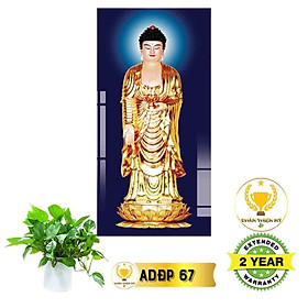 Mua Tranh điện Phật A Di Đà_ADD7