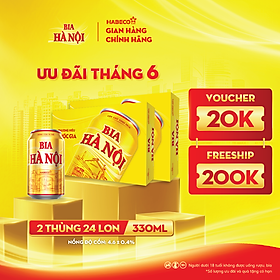Combo 2 Thùng Bia Hà Nội - Thùng 24 lon 330ml