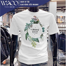 Áo Thun Nam, Có Bigsize Từ S Đến 8XL, Vải Cotton Cao Cấp, Mặc Mịn Thoáng Mát - Thời Trang Waoo, Mẫu ATNN240