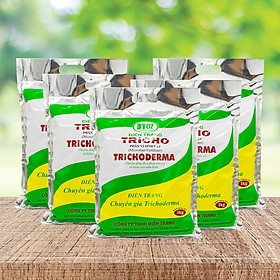 Mua COMBO 5 GÓI CHẾ PHẨM MEN VI SINH NẤM TRICHODERMA  DT02 1KG