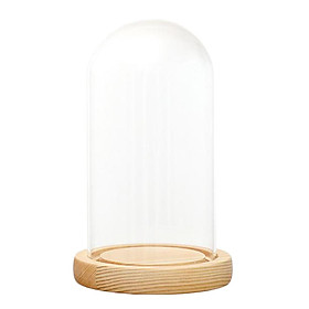 Clear Glass Display Dome with LED Wood Base Microlandscape Holder