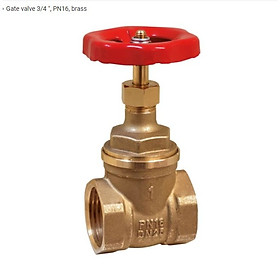 Van cửa (Gate Valve) 1", PN16, brass - IC101025